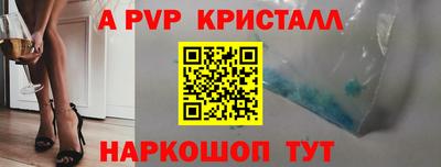 индика Новодвинск