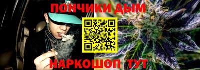 индика Новодвинск