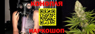 индика Новодвинск