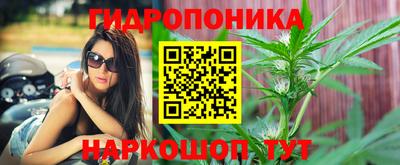 индика Новодвинск