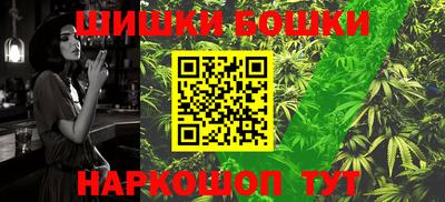индика Новодвинск