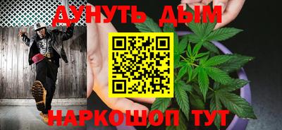 индика Новодвинск