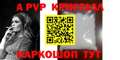 индика Новодвинск