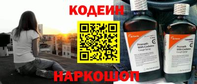 индика Новодвинск