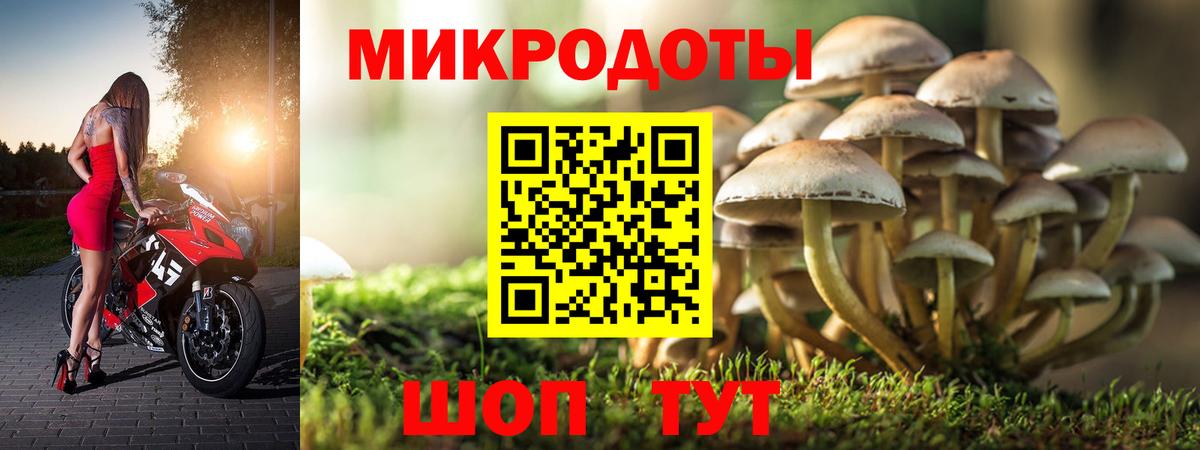 Галлюциногенные грибы Psilocybine cubensis  Вход с VPN  Южно-Сахалинск 