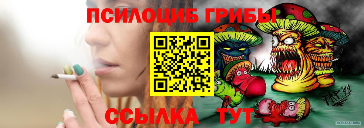 Псилоцибиновые грибы мицелий Южно-Сахалинск